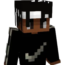 SPLASSHS Minecraft avatar bust