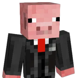 SRDNSVV Minecraft avatar bust