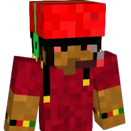 SRDOKIDOKI Minecraft avatar bust