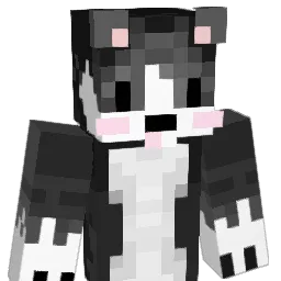 SRJOSSTUN1 Minecraft avatar bust