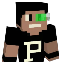 SRYOUNG Minecraft avatar bust
