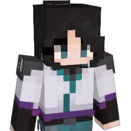 SSEONNEU Minecraft avatar bust