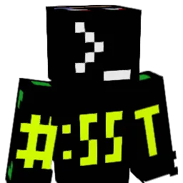 SST_Refl3tz Minecraft avatar bust