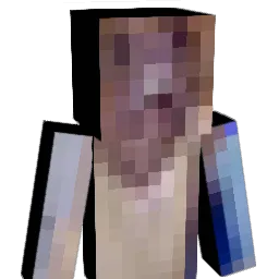 SSalamiLid Minecraft avatar bust