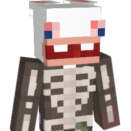SSonar's Minecraft skin