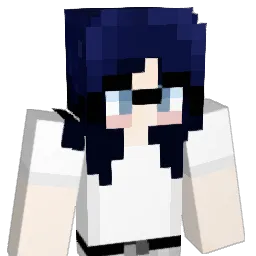 ST4R_24 Minecraft avatar bust