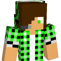 STANKYBBL Minecraft avatar bust