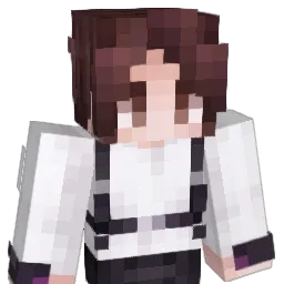 STE4DY25 Minecraft avatar bust