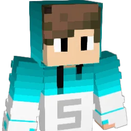 STEVLIVE Minecraft avatar bust