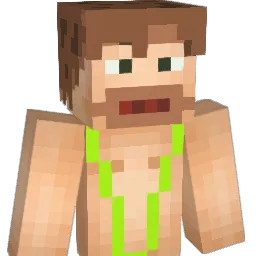 STINLY Minecraft avatar bust