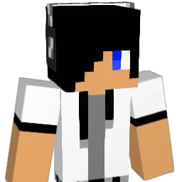 STIXs_ Minecraft avatar bust
