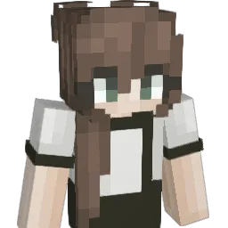 STONKSERSBOTMAN4 Minecraft avatar bust