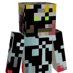 STRANGER221 Minecraft avatar bust
