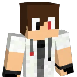 STanleyeunnnnnn Minecraft avatar bust