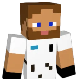 STlNGz Minecraft avatar bust