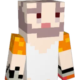 SUDS_N_DUDS Minecraft avatar bust