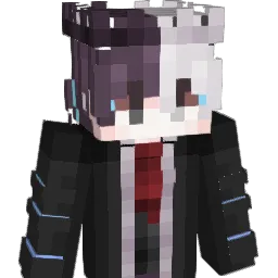 SULTAN___1 Minecraft avatar bust