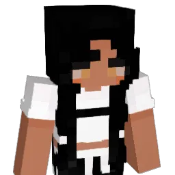 SUNGxSUNG Minecraft avatar bust
