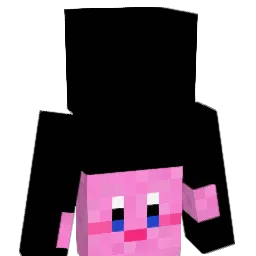 SVV11 Minecraft avatar bust