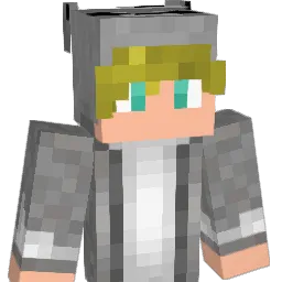 SWD33 Minecraft avatar bust