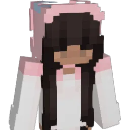 SWJ12 Minecraft avatar bust
