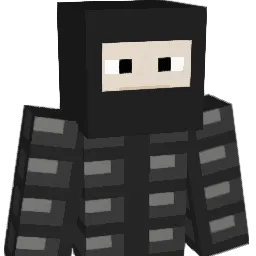 SXLTY_69 Minecraft avatar bust