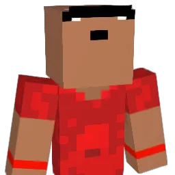 SYFBAUN Minecraft avatar bust