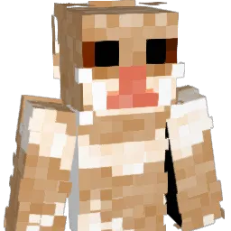 SYK_1 Minecraft avatar bust