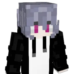 SYU_HOLLY Minecraft avatar bust