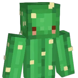 SZAMOT_TOMASZ Minecraft avatar bust