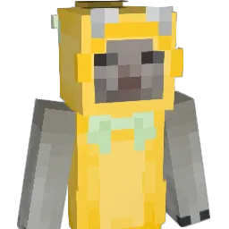 SZEFPL Minecraft avatar bust