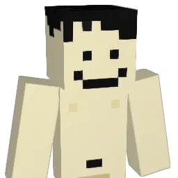 SZTYM0 Minecraft avatar bust