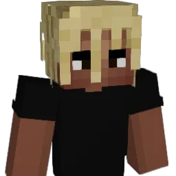 S_0LACE Minecraft avatar bust