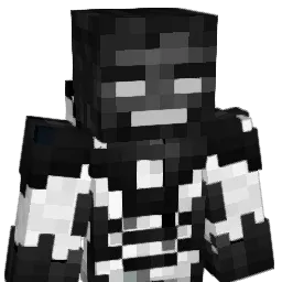 S_Stormer Minecraft avatar bust