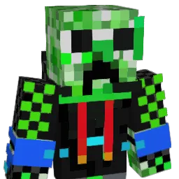 SaLoOh__ Minecraft avatar bust