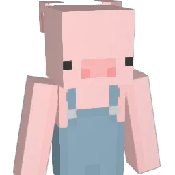 Saaruli96 Minecraft avatar bust