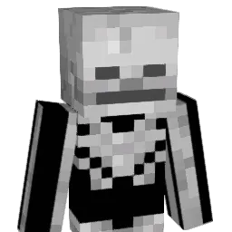 SabNikTaMere69 Minecraft avatar bust