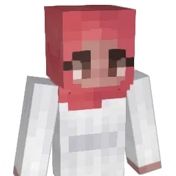 SadGirlHours_ Minecraft avatar bust