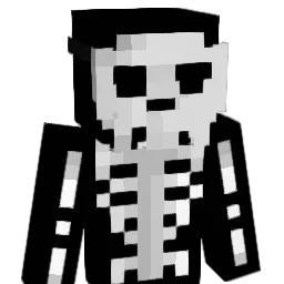 Saeins08 Minecraft avatar bust
