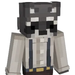 Sael_2002 Minecraft avatar bust