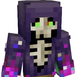 SafeDrift44 Minecraft avatar bust