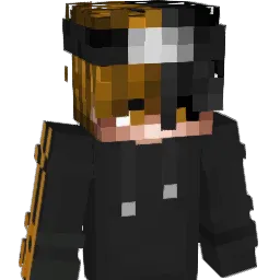 SafeNation's Minecraft skin