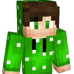SafeSix5 Minecraft avatar bust