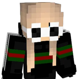 Saggin_Baggins Minecraft avatar bust