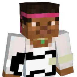SainT5027 Minecraft avatar bust