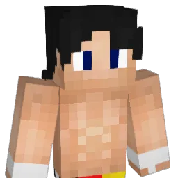SaintJames101 Minecraft avatar bust