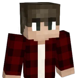 SaintsRobbed Minecraft avatar bust