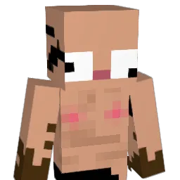 SairLEX Minecraft avatar bust