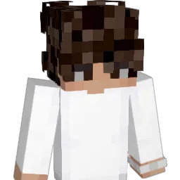 Sajmi_ho Minecraft avatar bust