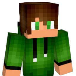 Sake304 Minecraft avatar bust